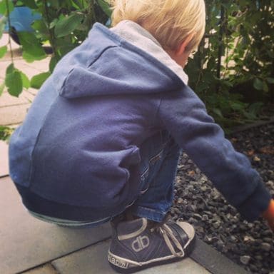 Develab bodhi