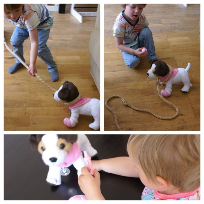 hondje 2