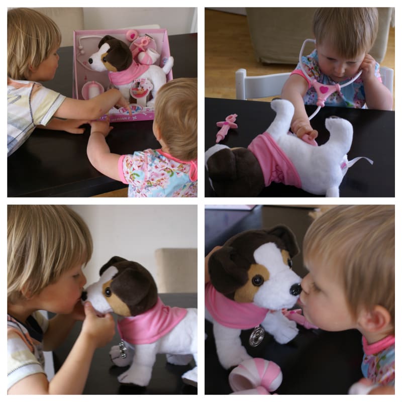 hondje