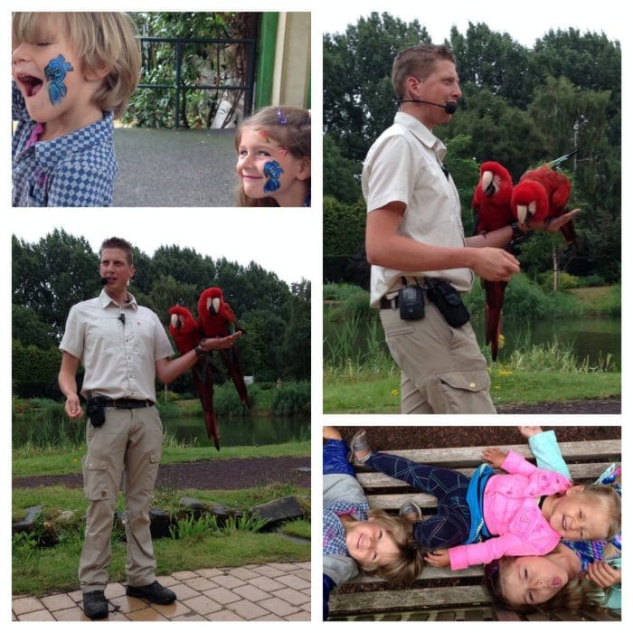 avifauna