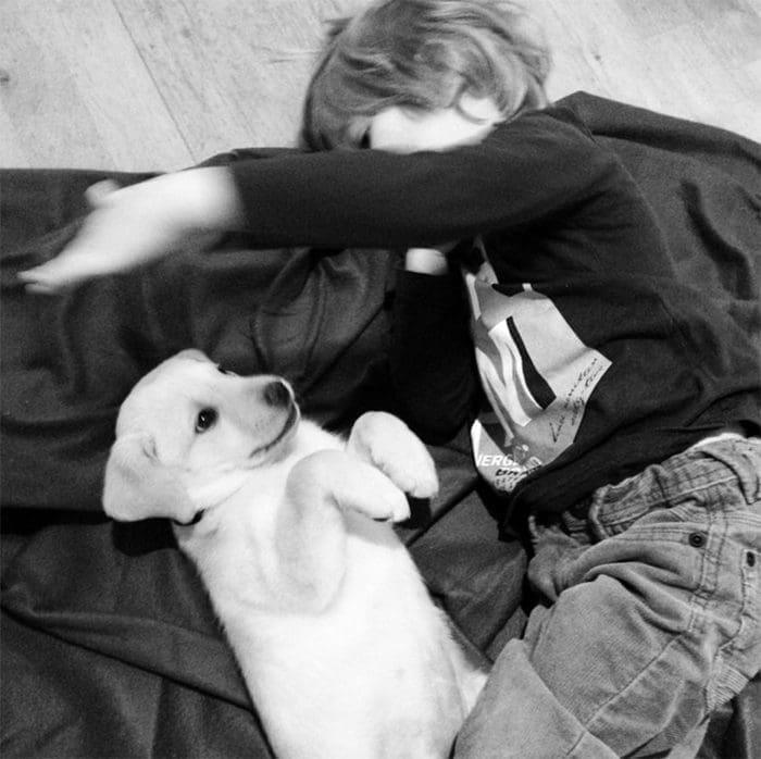 hond-1