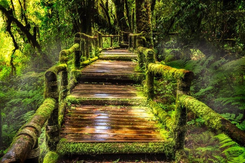 Nationaal-park-Doi-Inthanon