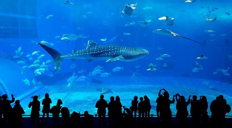 het aquarium atlanta
