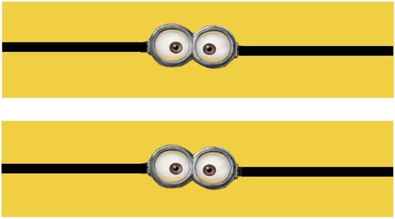 minion feestje waterfles