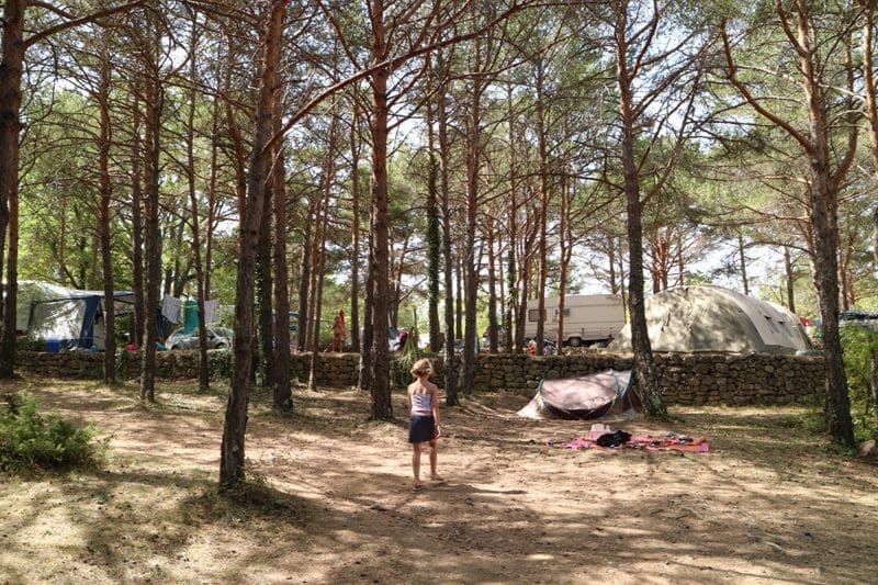plekken in het bos