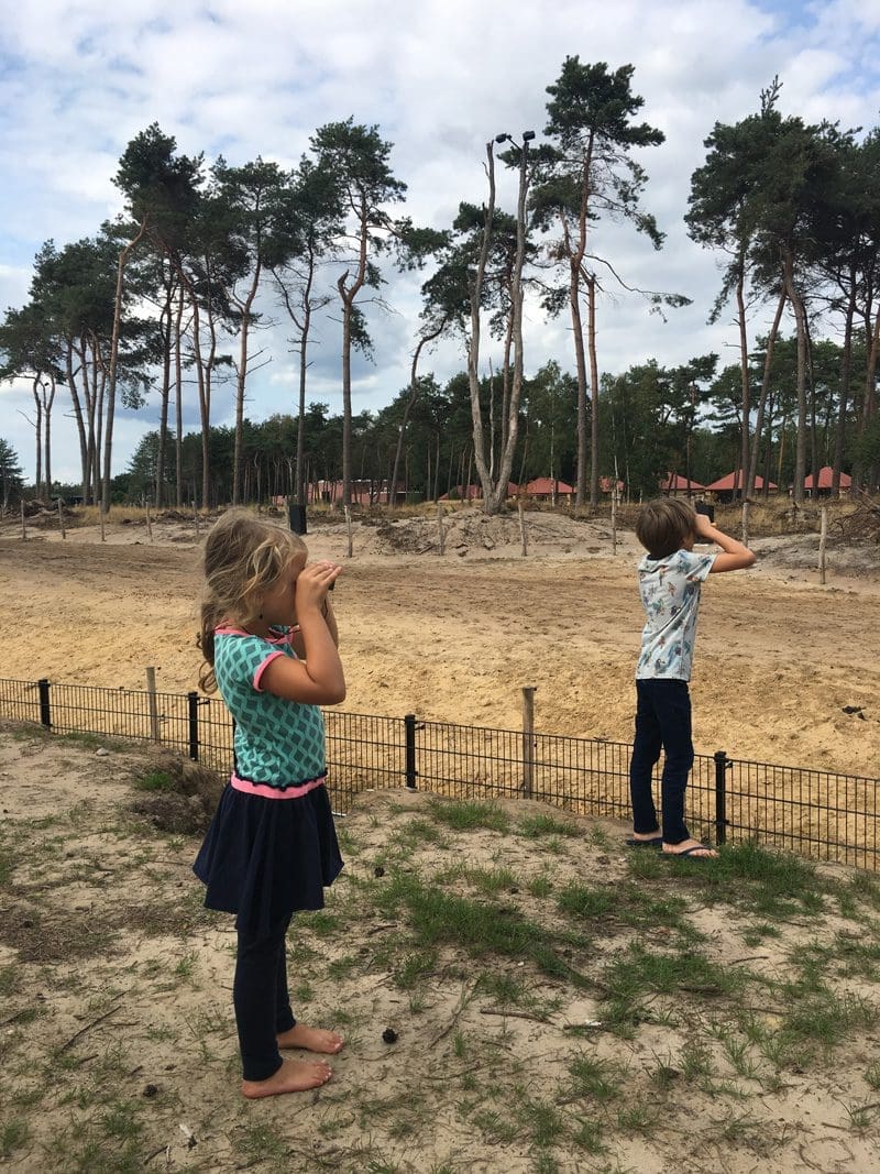 savanne beekse bergen