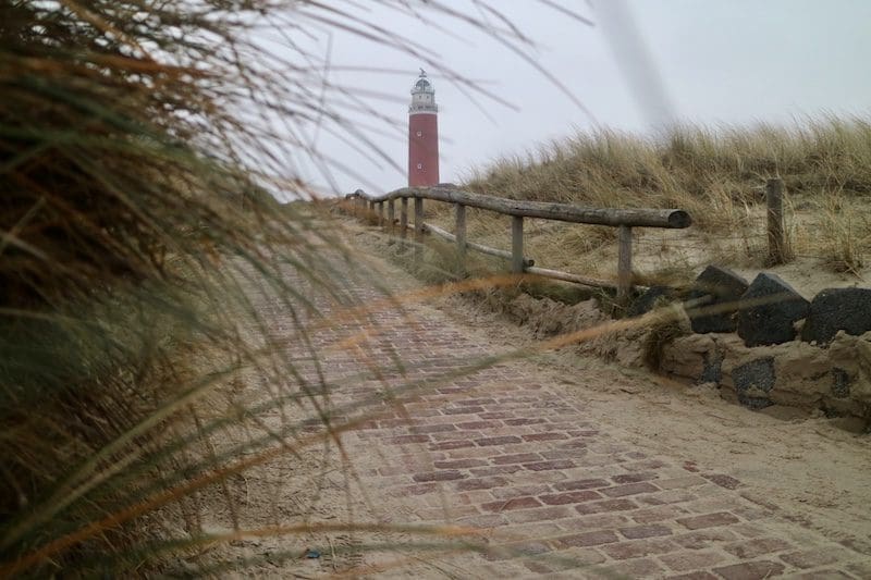 Texel winter