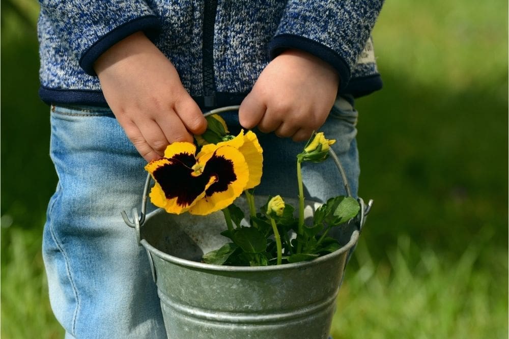 kindvriendelijke tuin